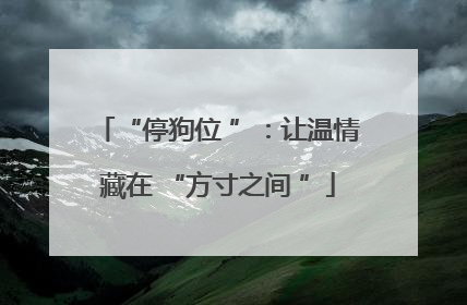 “停狗位 ”：让温情藏在 “方寸之间 ”